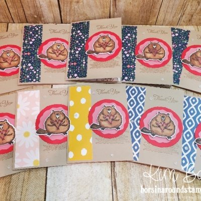 Fluffiest Friends Beaver Card Set