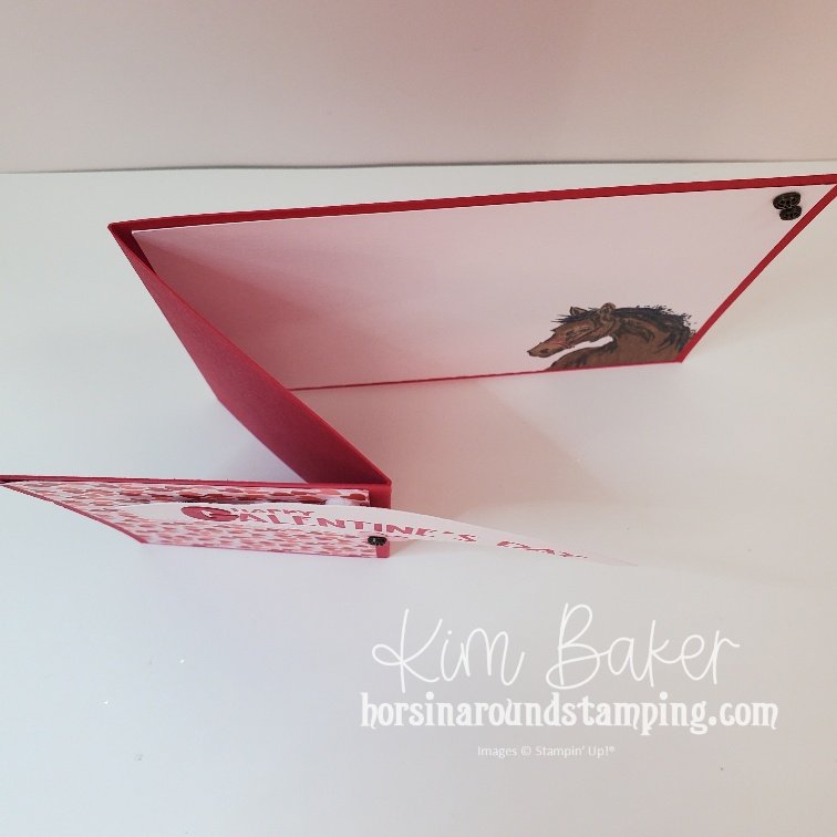 horse galentine zfold top view