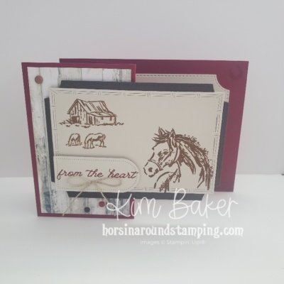 unbridled horse z fold panel card front