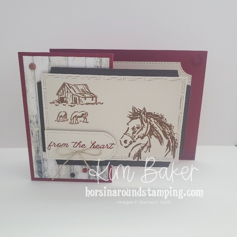 unbridled horse z fold panel card front