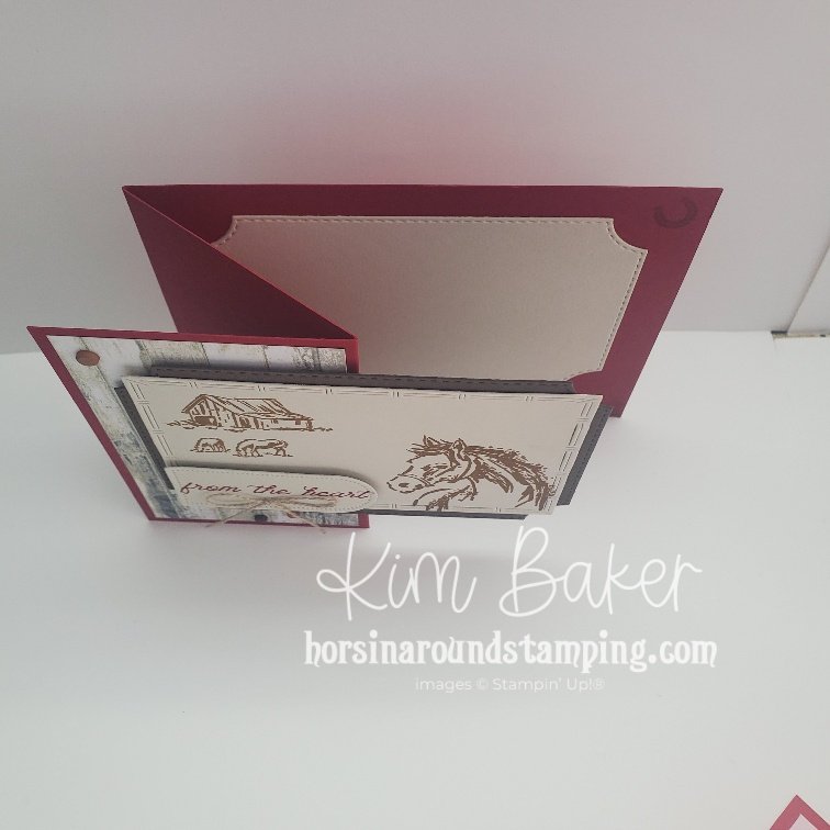 unbridled horse z fold panel card top