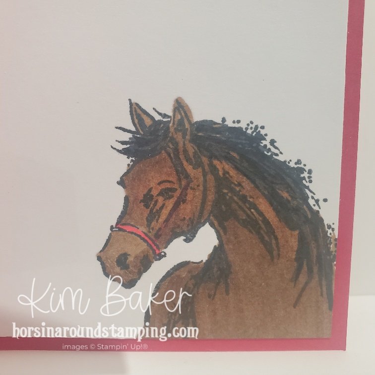 horse colored with stampin blends
