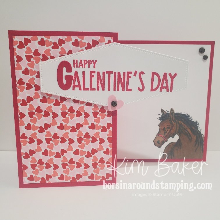 zfold horse galentine front