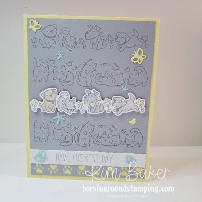 dogs and cat card