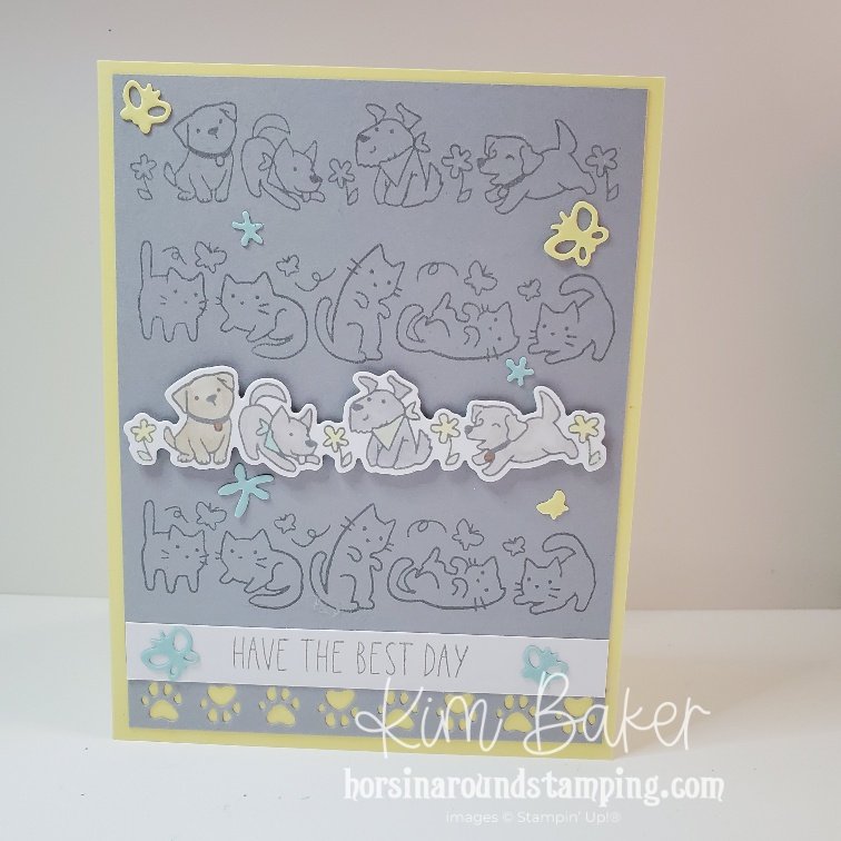 dogs and cat card