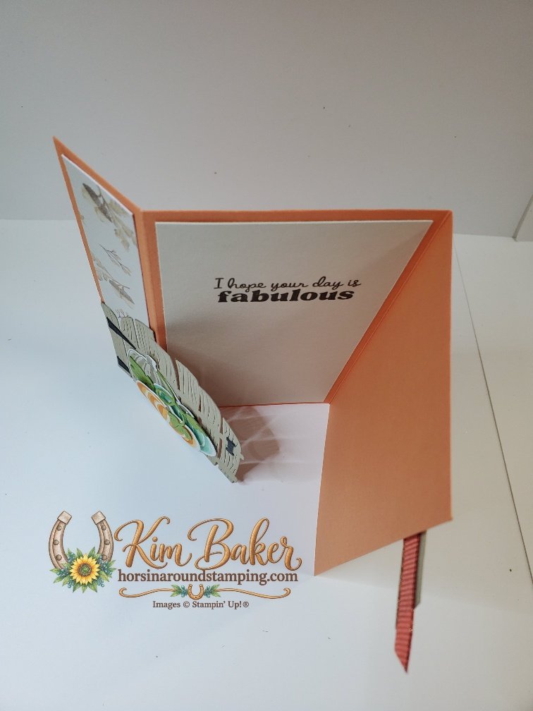 Side latch pumpkin gate card open top view