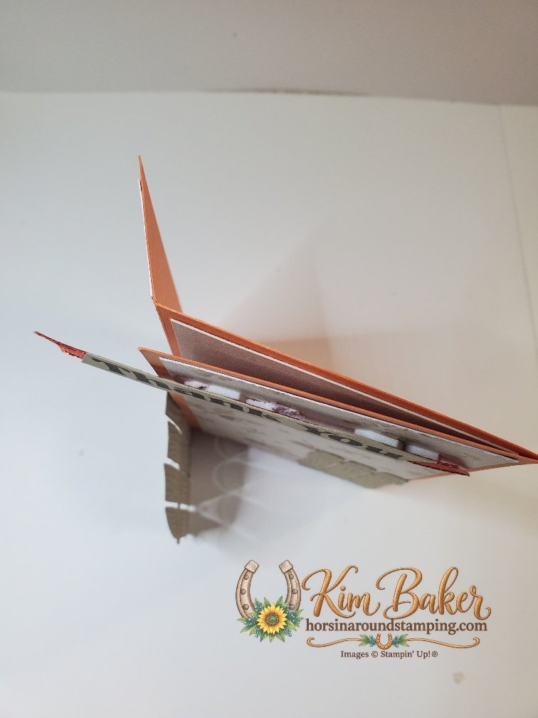 Side latch pumpkin gate card top view
