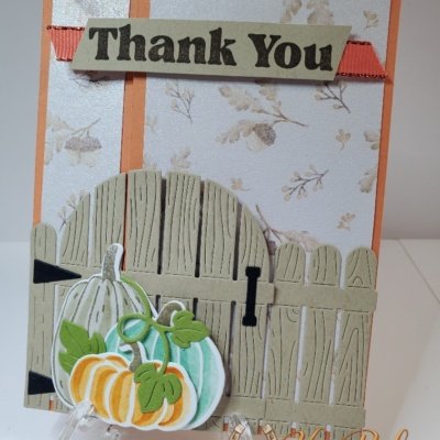 Side latch pumpkin gate card front